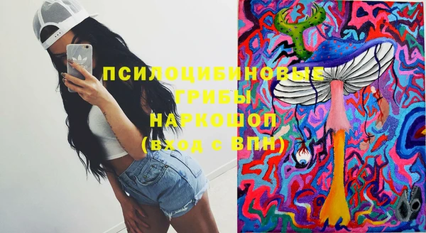 мет Бородино