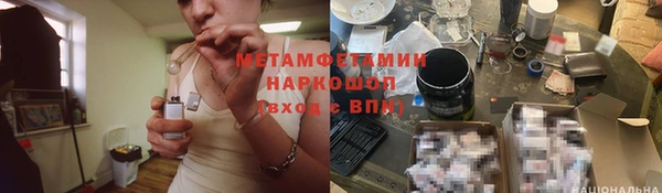 индика Бронницы