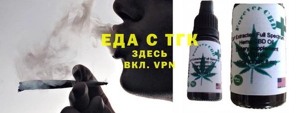 индика Бронницы