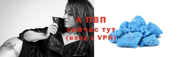 индика Бронницы