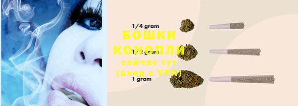 индика Бронницы