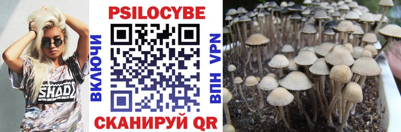 Галлюциногенные грибы прущие грибы  Купить где  Михайловск 